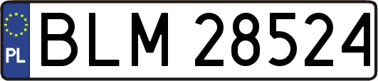 BLM28524