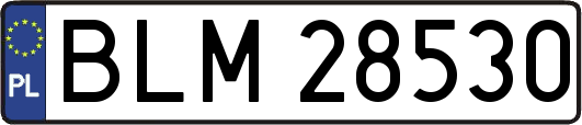 BLM28530
