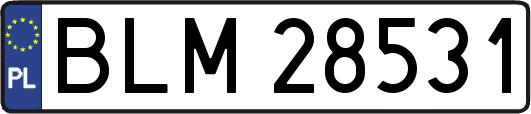 BLM28531