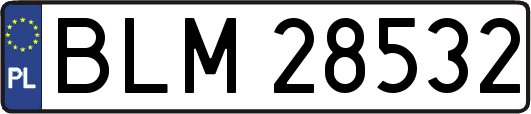 BLM28532