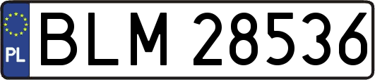 BLM28536