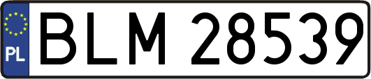 BLM28539