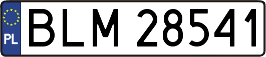 BLM28541