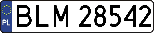 BLM28542