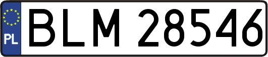BLM28546