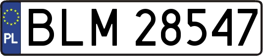 BLM28547