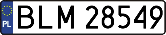 BLM28549