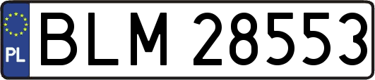 BLM28553