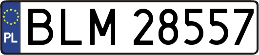 BLM28557