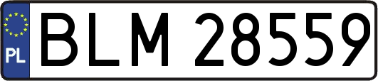 BLM28559