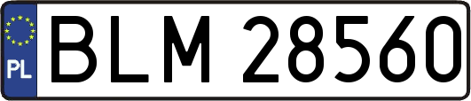 BLM28560