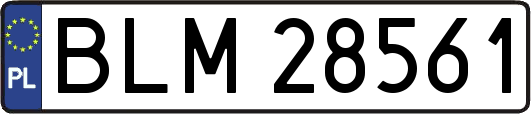 BLM28561