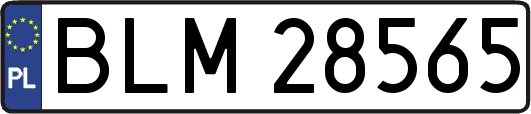 BLM28565