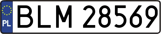 BLM28569