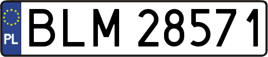 BLM28571