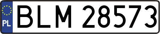 BLM28573
