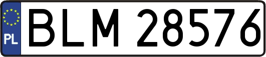 BLM28576
