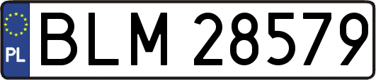 BLM28579