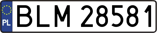 BLM28581