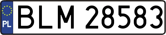 BLM28583