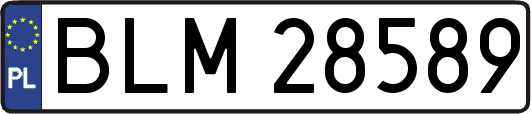 BLM28589