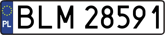 BLM28591