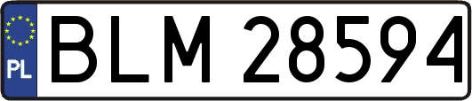 BLM28594