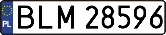 BLM28596