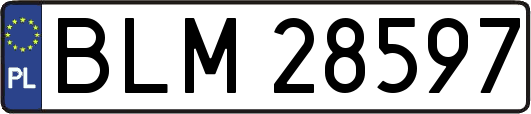 BLM28597