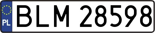 BLM28598