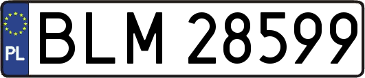 BLM28599