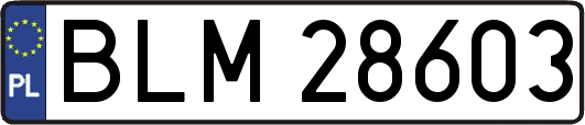 BLM28603