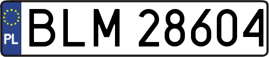 BLM28604