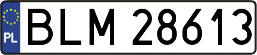 BLM28613