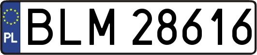 BLM28616