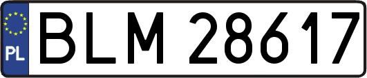 BLM28617