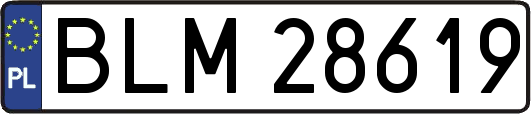 BLM28619