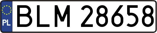 BLM28658