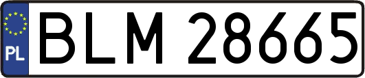 BLM28665