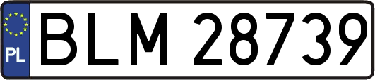 BLM28739