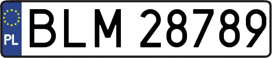 BLM28789