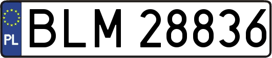 BLM28836