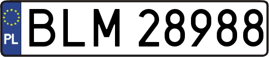 BLM28988