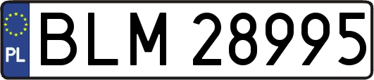 BLM28995