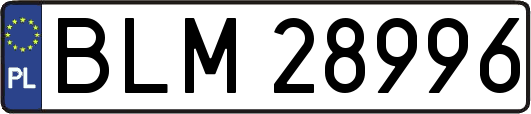 BLM28996