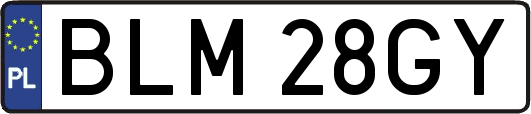 BLM28GY