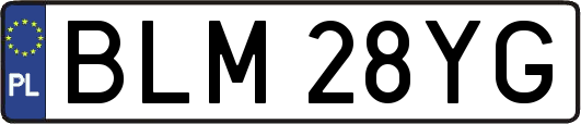 BLM28YG