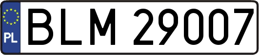 BLM29007