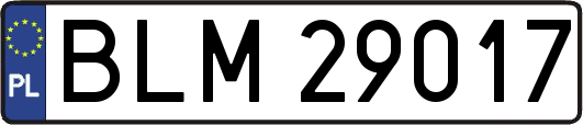 BLM29017