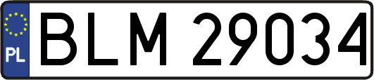 BLM29034